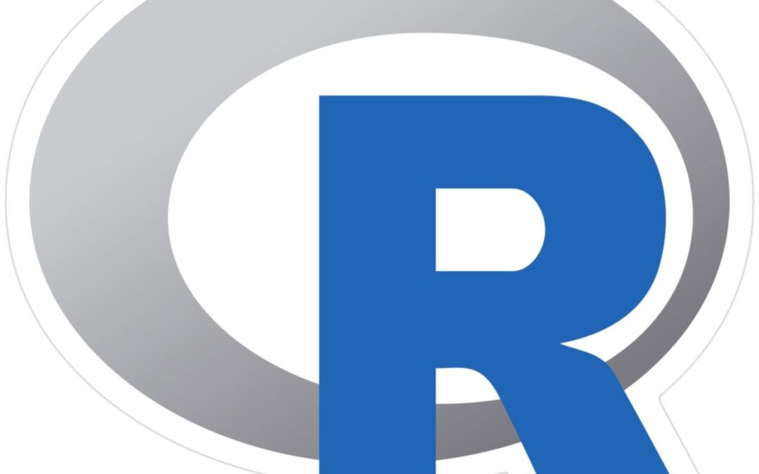What is R Programming?
